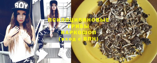 молекула духа Рославль