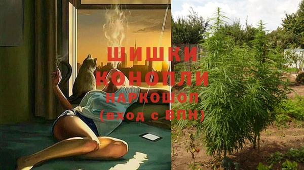 молекула духа Рославль